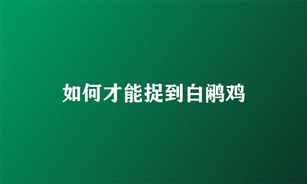 如何才能捉到白鹇鸡