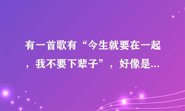 有一首歌有“今生就要在一起，我不要下辈子”，好像是dj的。