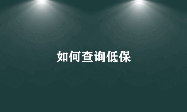 如何查询低保