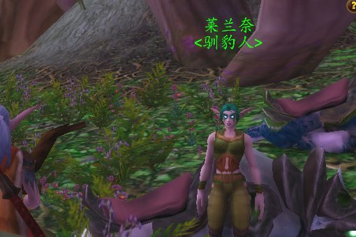 魔兽世界达纳苏斯哪里可以买坐骑