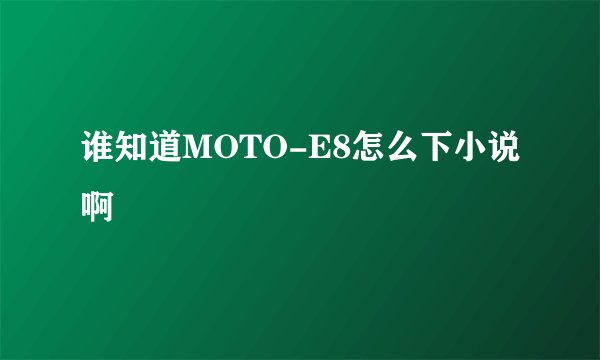 谁知道MOTO-E8怎么下小说啊