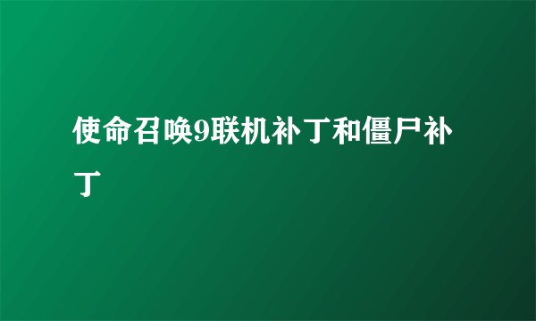 使命召唤9联机补丁和僵尸补丁