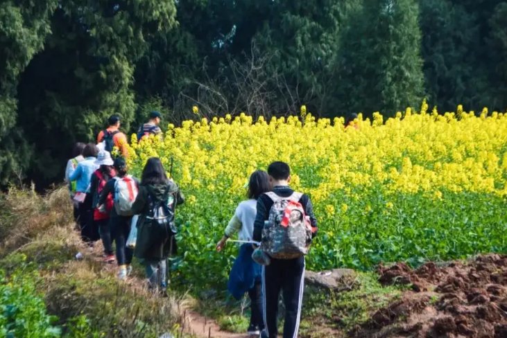 春天踏青的唯美句子简短