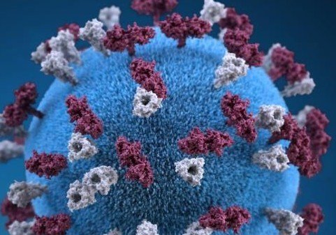 如何查看国外疫情最新人数？