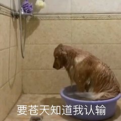 为什么中年女演员都在抱怨无戏可拍？