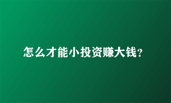 怎么才能小投资赚大钱？