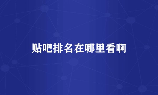 贴吧排名在哪里看啊