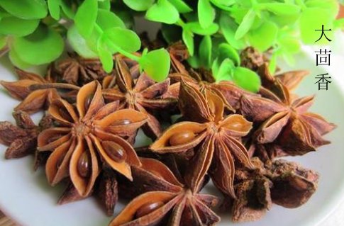 小茴香和大茴香是一样的吗？有什么区别啊