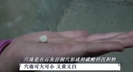 陕西天坑发现天然石元宵是什么样的？