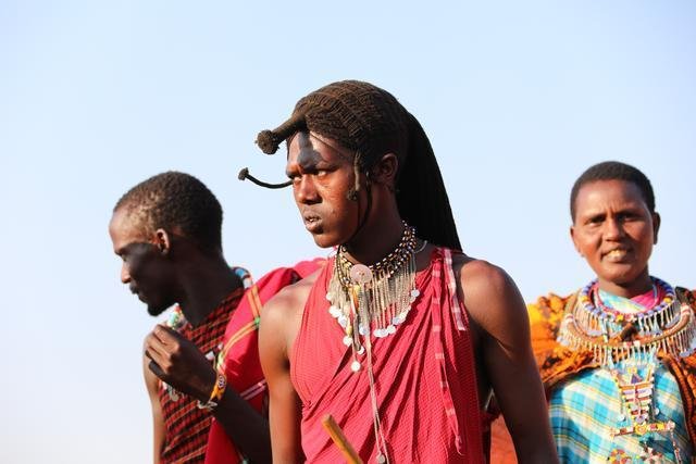 非洲人说什么语言的？