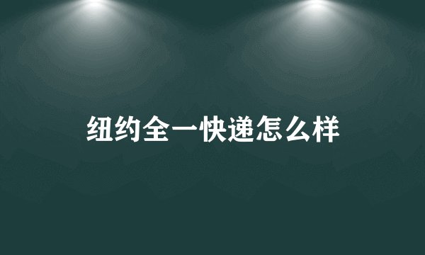 纽约全一快递怎么样