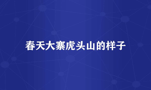 春天大寨虎头山的样子