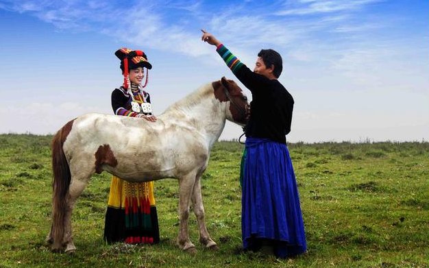 有关草原的歌曲有哪些