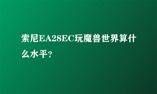 索尼EA28EC玩魔兽世界算什么水平？