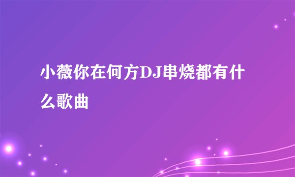 小薇你在何方DJ串烧都有什么歌曲