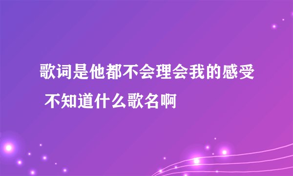 歌词是他都不会理会我的感受 不知道什么歌名啊