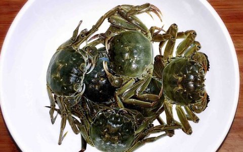 上海汪姐醉蟹的做法