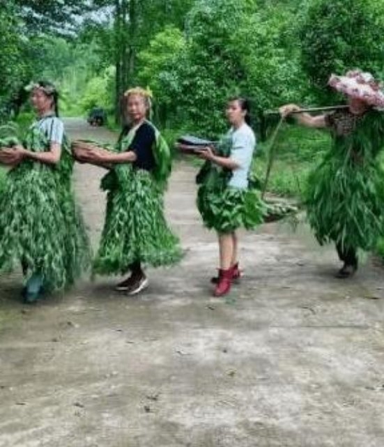 湖南辰溪农村农村大妈抱自家蔬菜走秀，这是个什么样的场景？