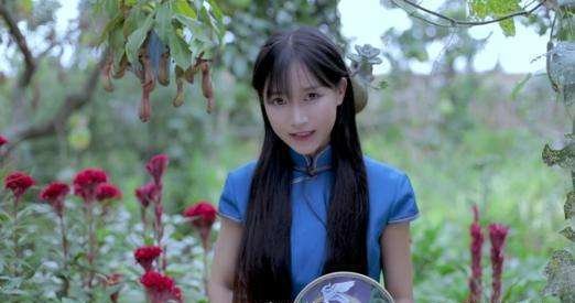 为啥李子柒的家没有跟大衣哥一样被人围观，天天直播？