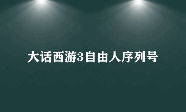 大话西游3自由人序列号