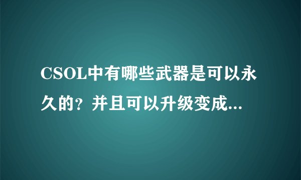 CSOL中有哪些武器是可以永久的？并且可以升级变成更牛的枪型？？ （详细）