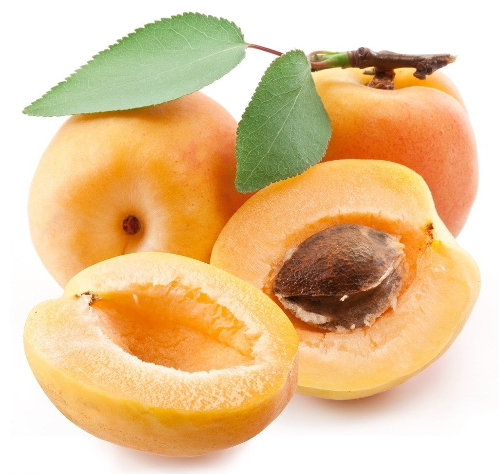 杏子的英语翻译 杏子用英语怎么说