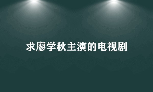 求廖学秋主演的电视剧