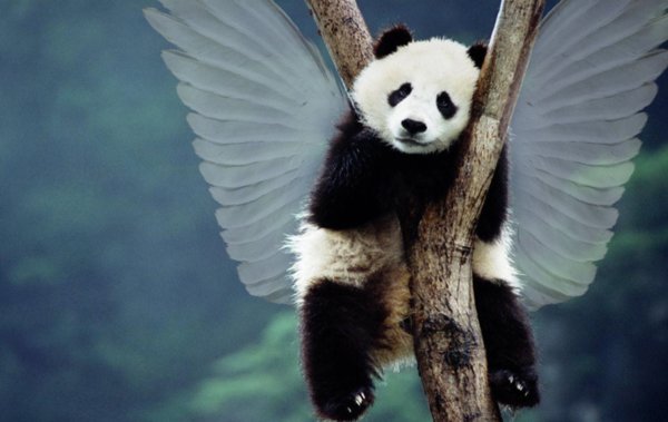 有什么可爱活泼的歌曲吗？