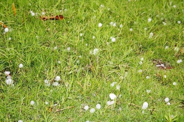 贵州5月已经连续13天下冰雹，你认为是什么原因？