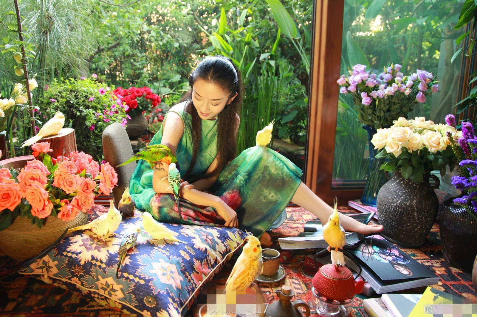 年轻时候的杨丽萍是什么模样?