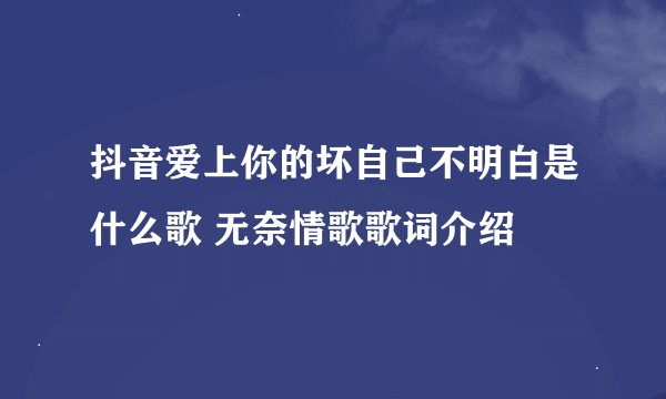 抖音爱上你的坏自己不明白是什么歌 无奈情歌歌词介绍