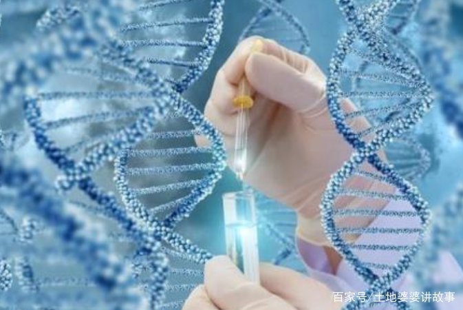 广州富豪家八胞胎长大了，试管做八胞胎，真的不违法吗？