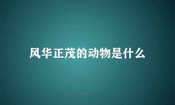 风华正茂的动物是什么