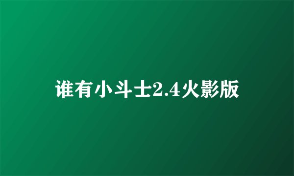 谁有小斗士2.4火影版