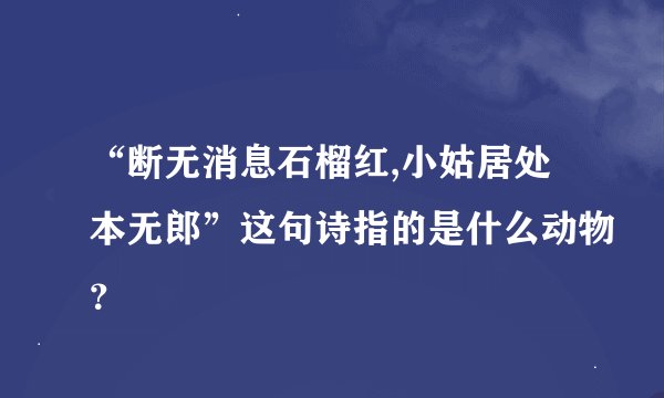 “断无消息石榴红,小姑居处本无郎”这句诗指的是什么动物？