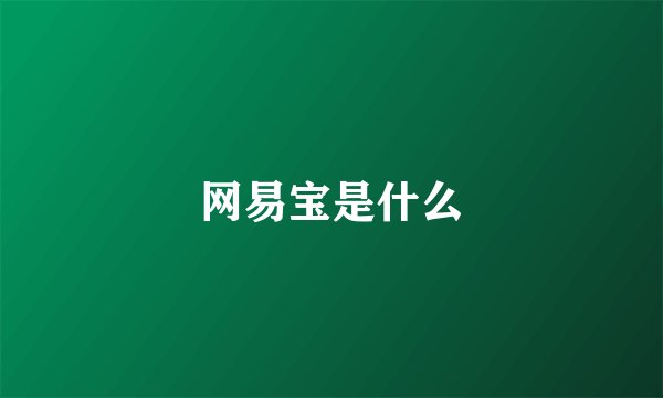 网易宝是什么