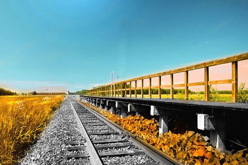 鲨鱼馆竟然出现死亡事故，外出旅游你会怎么保护自己？