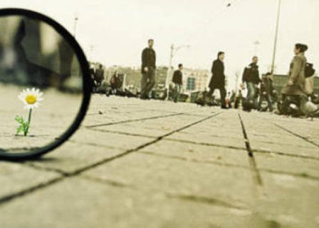 闪闪发光(AABc式)一样词语