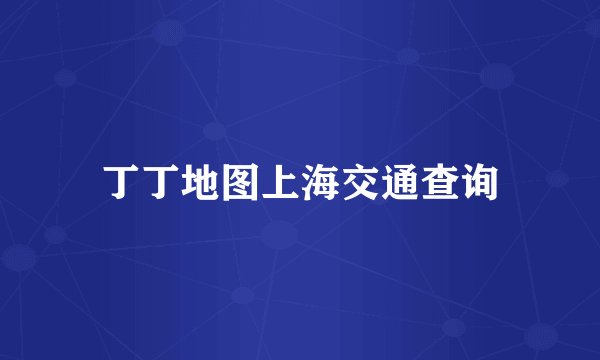 丁丁地图上海交通查询