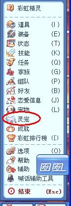 彩虹岛灵宠怎样升级