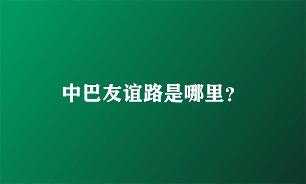 中巴友谊路是哪里？