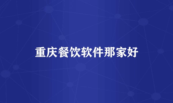 重庆餐饮软件那家好