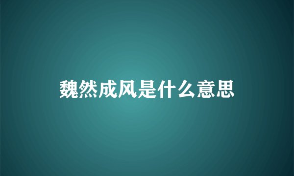 魏然成风是什么意思