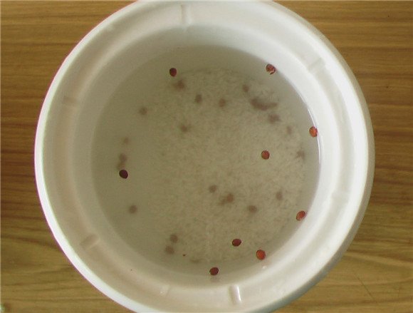 请问酸枣仁粥的美味做法？