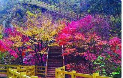 绚丽多彩的意思是什么