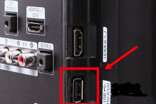 TCL液晶电视支持什么格式的视频播放?