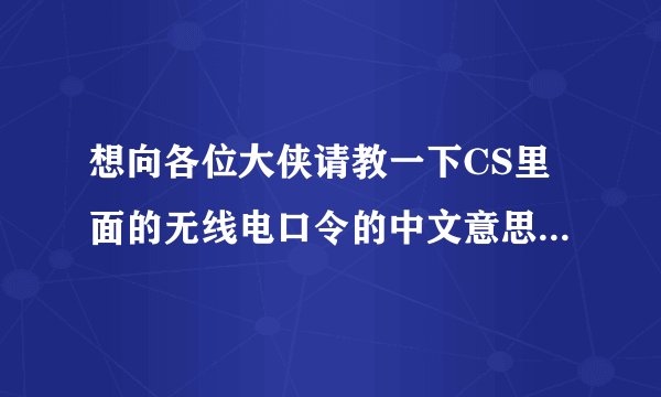 想向各位大侠请教一下CS里面的无线电口令的中文意思都是什么