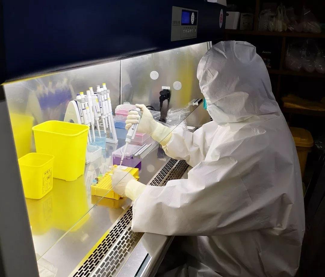 在做核酸检测的时候，取样完了下一步该怎么做？