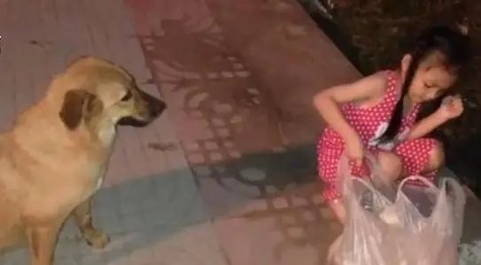 永州女婴吃泔水与流浪狗同住，社区服务会如何帮助这个女孩？