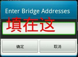 TOR的最新网桥是什么？